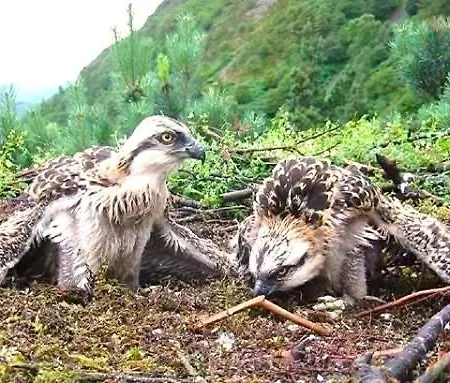 Prázdninový dům By The - District - Hot Tub