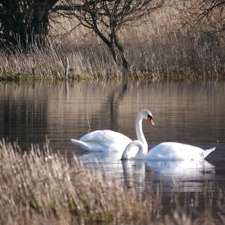 By The - District - Hot Tub Bassenthwaite