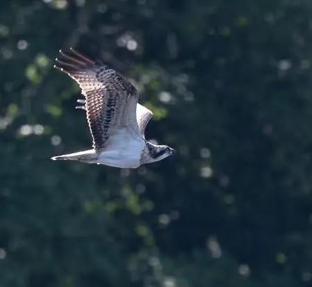 By The - District - Hot Tub * Bassenthwaite